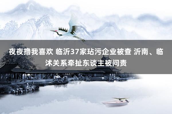 夜夜撸我喜欢 临沂37家玷污企业被查 沂南、临沭关系牵扯东谈主被问责