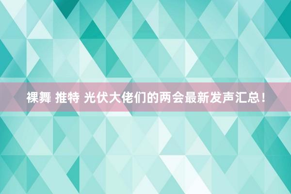 裸舞 推特 光伏大佬们的两会最新发声汇总！
