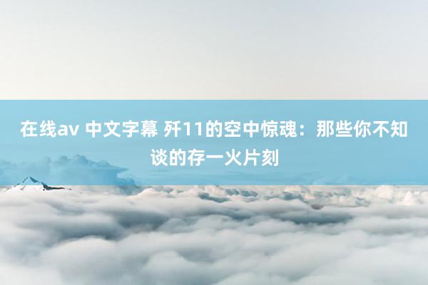 在线av 中文字幕 歼11的空中惊魂：那些你不知谈的存一火片刻