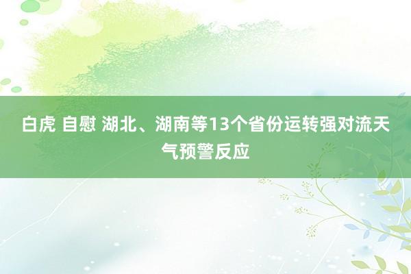 白虎 自慰 湖北、湖南等13个省份运转强对流天气预警反应