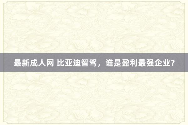 最新成人网 比亚迪智驾,谁是盈利最强企业?