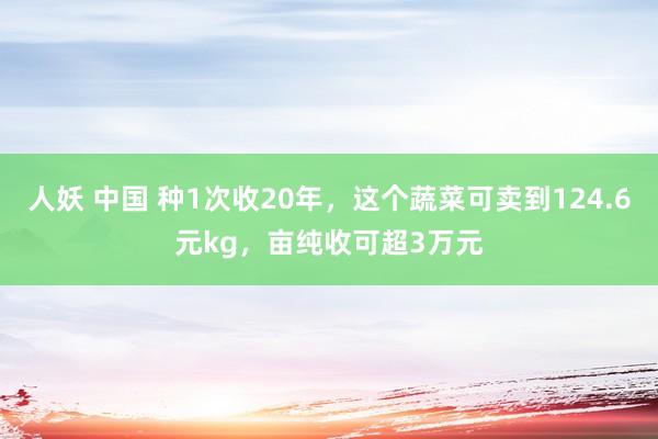 人妖 中国 种1次收20年，这个蔬菜可卖到124.6元kg，亩纯收可超3万元