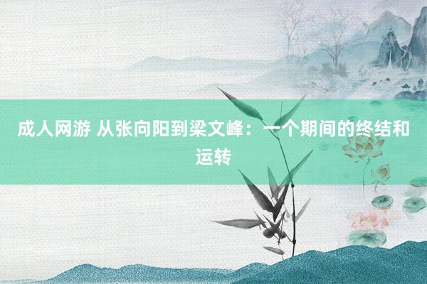 成人网游 从张向阳到梁文峰：一个期间的终结和运转