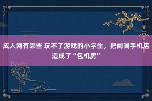 成人网有哪些 玩不了游戏的小学生，把阛阓手机店造成了“包机房”