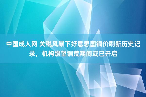 中国成人网 关税风暴下好意思国铜价刷新历史记录，机构瞻望铜荒期间或已开启