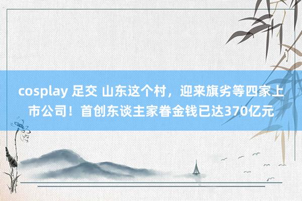 cosplay 足交 山东这个村，迎来旗劣等四家上市公司！首创东谈主家眷金钱已达370亿元